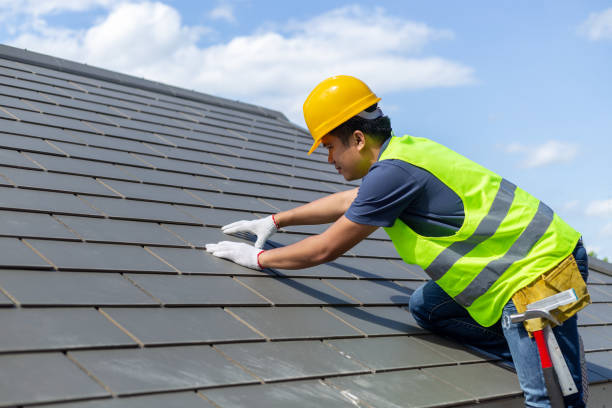 Roof Gutter Cleaning in Roxboro, NC